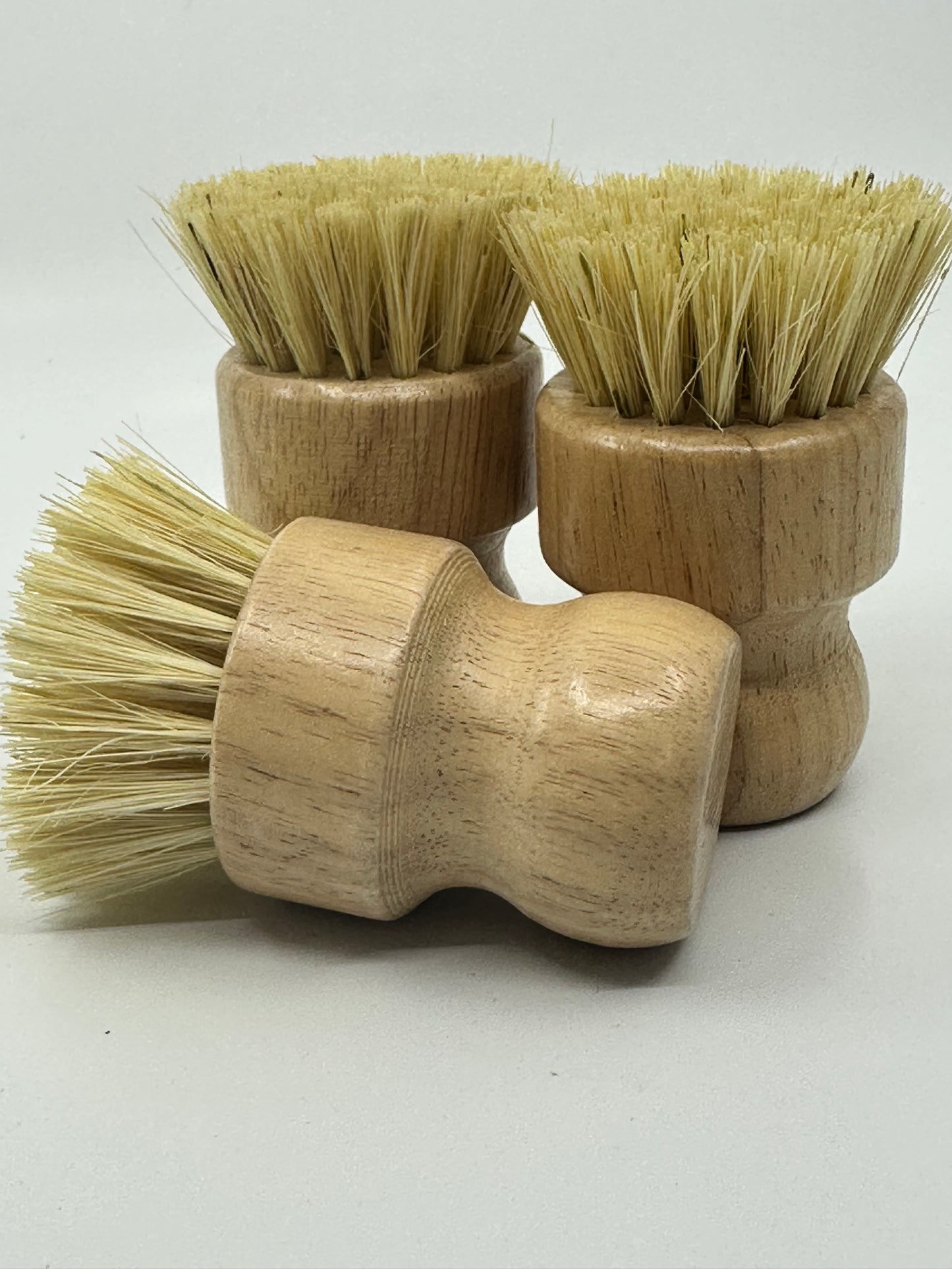 Dish Brush